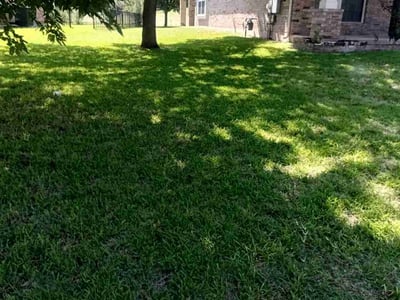 Lawn Care service in Pflugerville, 78660