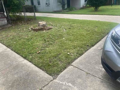 Lawn Care service in Belle Chasse, 70037