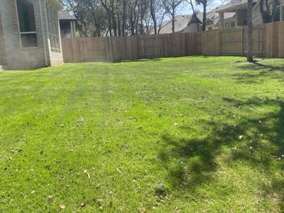 Lawn Care service in Kyle, 78640