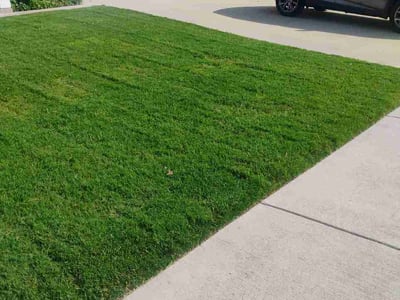 Lawn Care service in Kyle, 78640