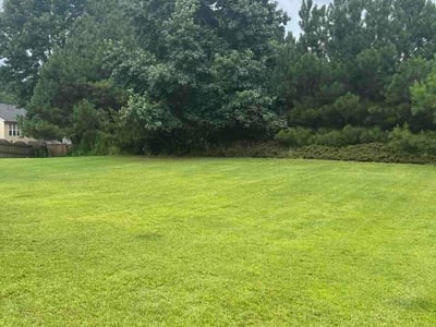 Lawn Care service in Mill Valley, 94941