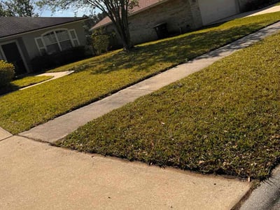 Lawn Care service in La Mesa, 91942
