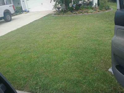 Lawn Care service in Lakeside, 92040