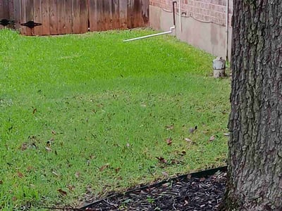 Lawn Care service in San Clemente, 92672