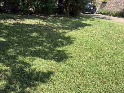 Lawn Care service in Lakeside, 92040