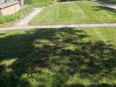 Lawn Care service in Sussex, 53089