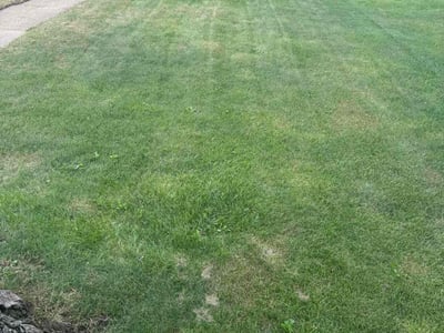 Lawn Care service in New Berlin, 53151