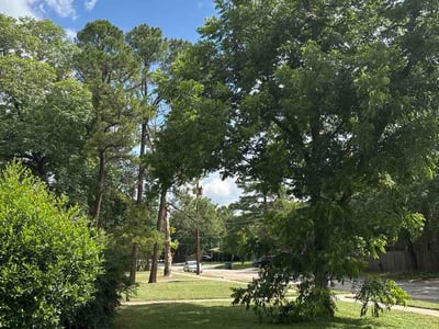 Lawn Care service in Little Elm, 75068