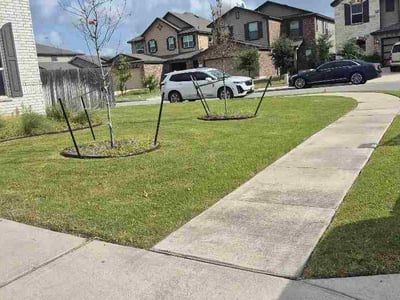 Lawn Care service in Manor, 78653