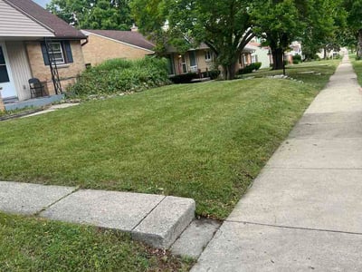 Lawn Care service in Hartford, 53027