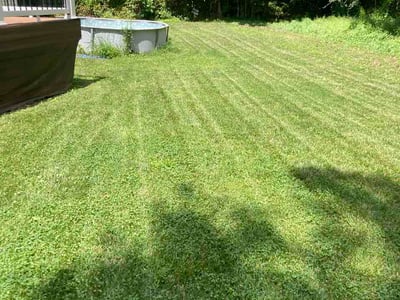 Lawn Care service in Beltsville, 20705