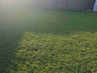 Lawn Care service in Del Valle, 78617