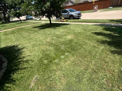 Lawn Care service in Coppell, 75019