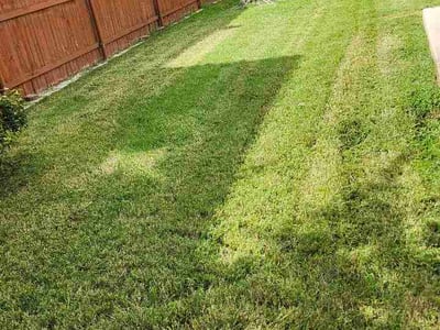 Lawn Care service in Coppell, 75019