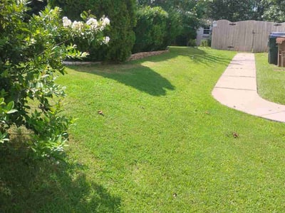 Lawn Care service in Holly Springs, 27540