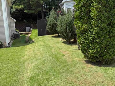 Lawn Care service in Holly Springs, 27540