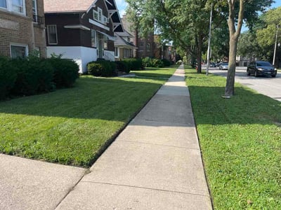 Lawn Care service in Oak Park, 60302