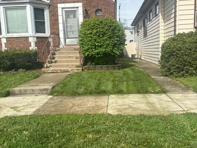 Lawn Care service in Oak Park, 60302
