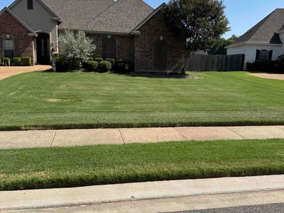 Lawn Care service in Bossier City, 71111