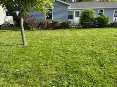 Lawn Care service in Middleton, 53562