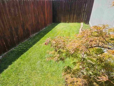 Lawn Care service in Lincoln, 95648