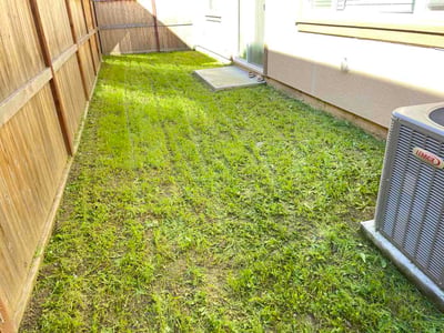 Lawn Care service in Lincoln, 95648