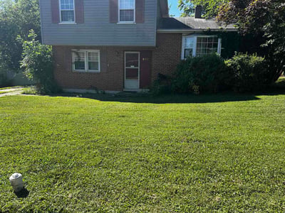 Lawn Care service in Reisterstown, 21136