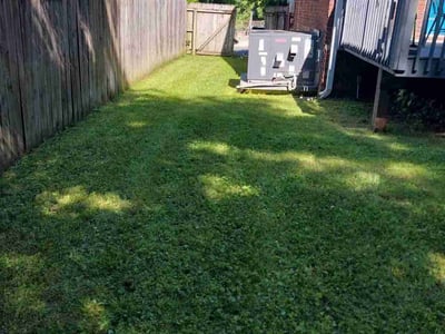 Lawn Care service in South Park, 28210