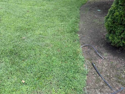 Lawn Care service in South Park, 28210