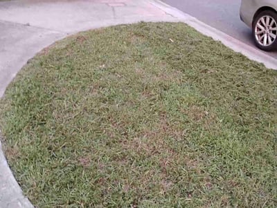 Lawn Care service in South Park, 28210