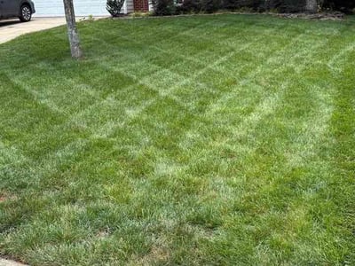 Lawn Care service in South Park, 28210