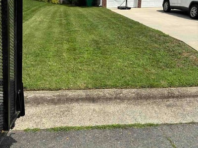 Lawn Care service in Randleman, 27317
