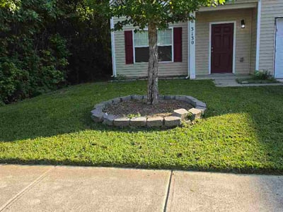 Lawn Care service in South Park, 28210