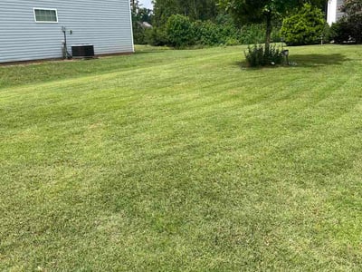 Lawn Care service in South Portland, 04106