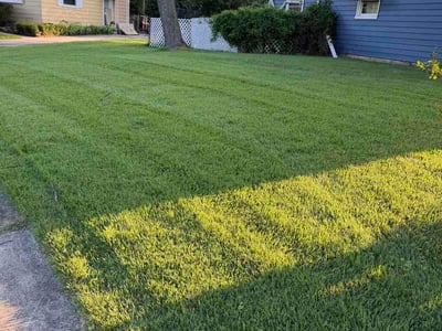 Lawn Care service in Middle River, 21220