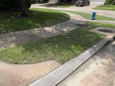 Lawn Care service in Carlsbad, 92008