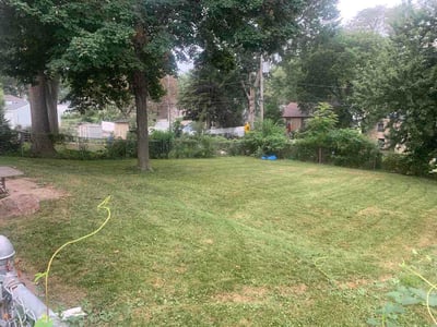 Lawn Care service in Carlsbad, 92008