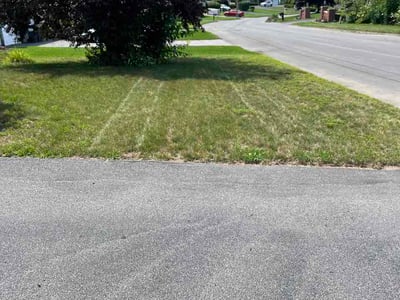 Lawn Care service in Saratoga Springs, 12866