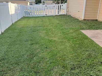 Lawn Care service in Cedar Park, 78613