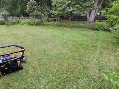 Lawn Care service in Benton Harbor, 49022
