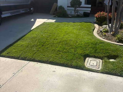 Lawn Care service in Mission Viejo, 92692