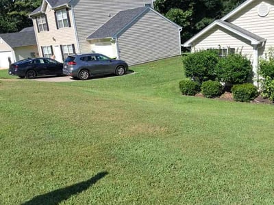 Lawn Care service in Mission Viejo, 92692