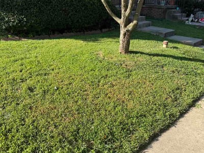 Lawn Care service in Lutherville Timonium, 21093