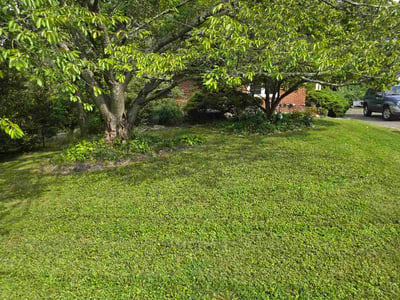 Lawn Care service in Lutherville Timonium, 21093