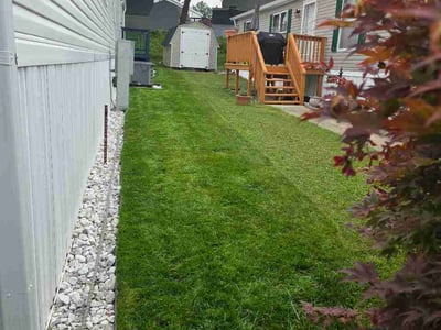 Lawn Care service in Cockeysville, 21030
