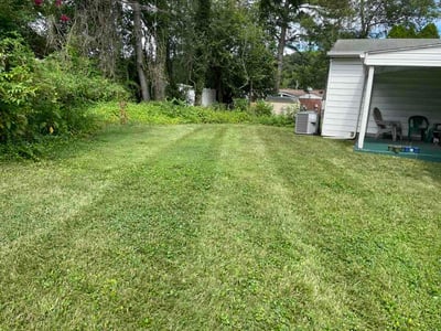 Lawn Care service in Cockeysville, 21030