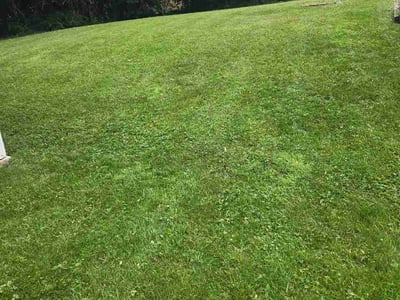 Lawn Care service in Milford, 45150