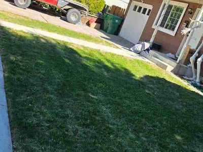 Lawn Care service in Sparks, 89431