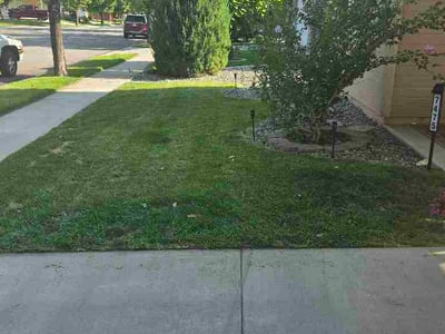 Lawn Care service in Sparks, 89431