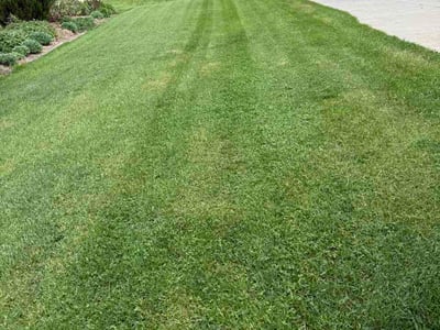 Lawn Care service in Brookfield, 53005